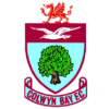 Team logo